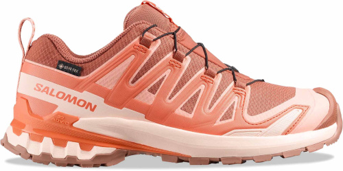 Кроссовки беговые Salomon XA PRO 3D V9 GTX W