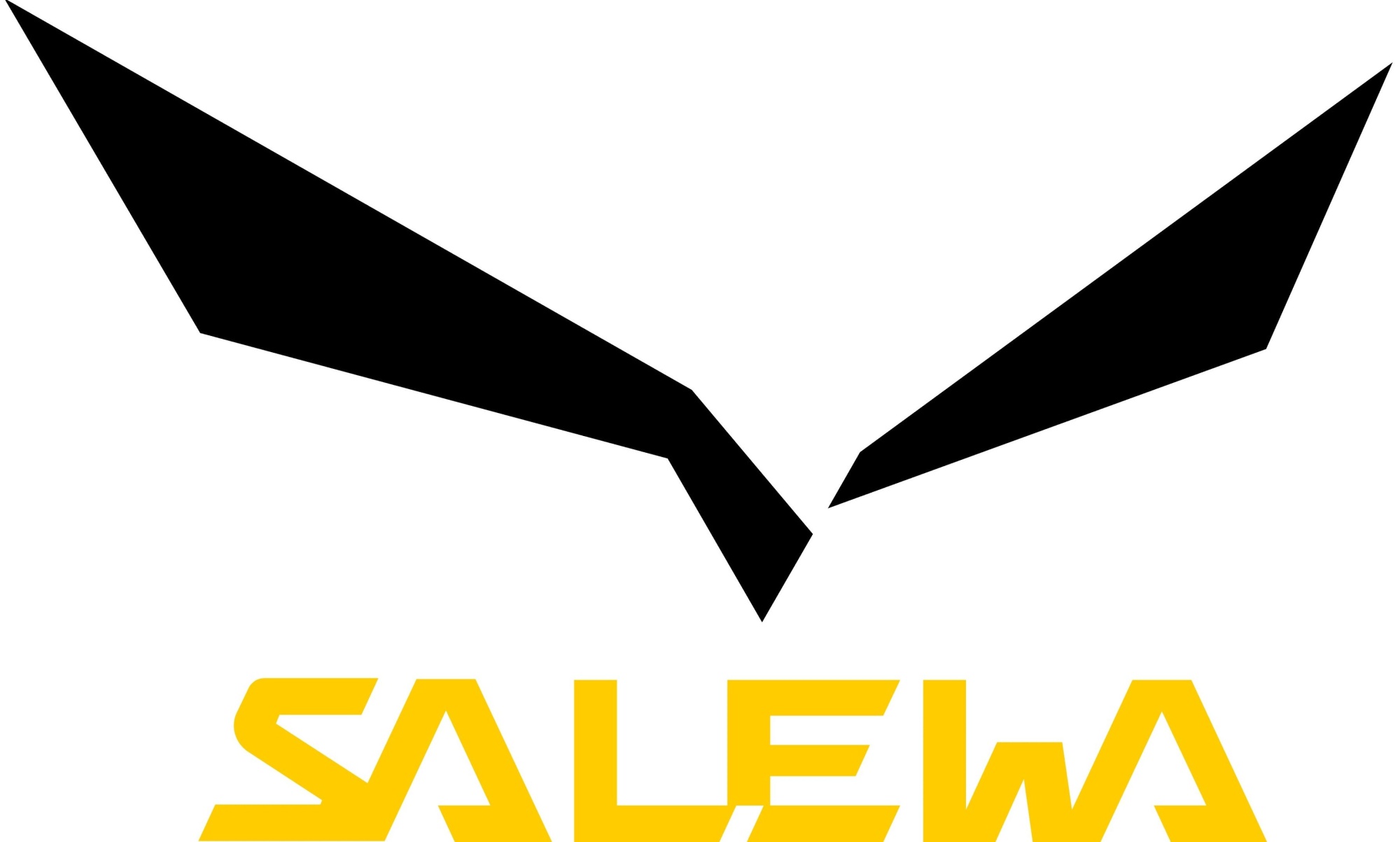 Salewa Salewa