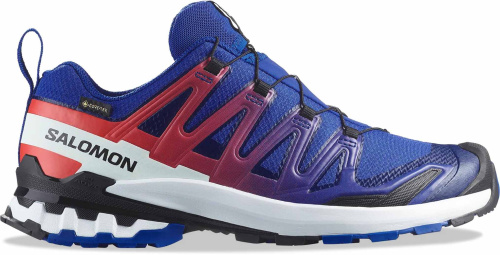 Кроссовки Salomon XA PRO 3D V9 GTX Equipe