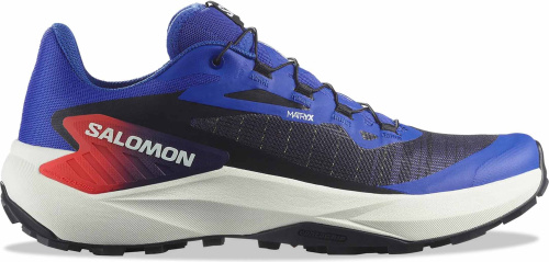 Кроссовки беговые Salomon Genesis Equipe