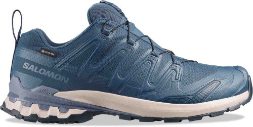 Кроссовки беговые Salomon XA PRO 3D V9 GTX