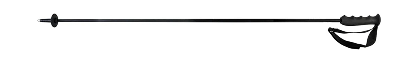 Горнолыжные палки Head Porsche Carbon 25/26