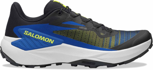 Кроссовки беговые Salomon Genesis