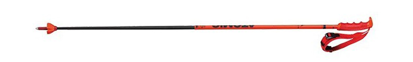 Горнолыжные палки Atomic Redster RS SL