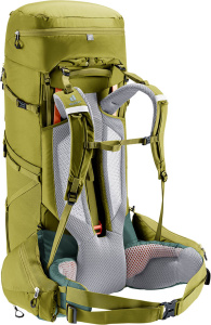 Aircontact Core 60+10 (Cactus-ivy)