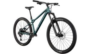 Zaskar LT Comp 29 (JDE L)