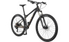 Avalanche Elite Coil Fork 29 (BBQ M)