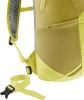 Speed Lite 17 (Linden-sprout)