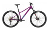 Zaskar LT Pro 29 (RAS XL)