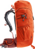 Climber 22 (Papaya-redwood)