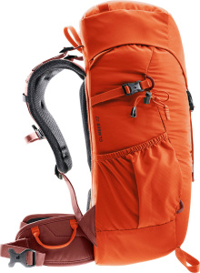 Climber 22 (Papaya-redwood)