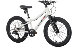 3BIKE 20 (Серый One Size)
