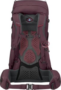 Kyte 38 Elderberry Purple (M-L)