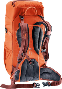 Climber 22 (Papaya-redwood)