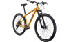 Trail 5 29 (Mango LG)