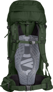 Pack Daydream 50  (Regular Kombu Green)