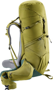 Aircontact Core 60+10 (Cactus-ivy)