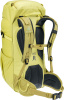 Climber 22 (Sprout-linden)