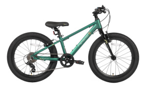 5BIKE 20 (Зеленый Матовый One Size)