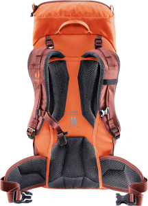 Climber 22 (Papaya-redwood)