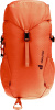 Climber 22 (Papaya-redwood)