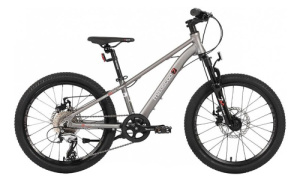 7BIKE 20 (Серый Матовый One size)