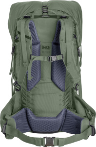 Pack Molecule 45 (Regular Sage Green)