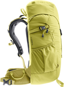 Climber 22 (Sprout-linden)