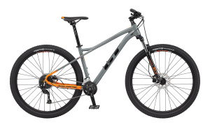 Avalanche Sport 29 (Grey L)