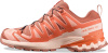 XA PRO 3D V9 GTX W (Pecan Brown / Nectarine / Almond Cream (UK: 6.5))