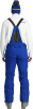 Dare Pants (Electric Blue 50)