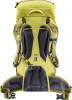 Climber 22 (Sprout-linden)