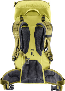 Climber 22 (Sprout-linden)
