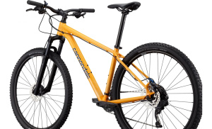 Trail 5 29 (Mango MD)