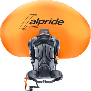 Alproof 30 SL / DE 99628279 (Redwood-black)