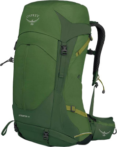 Stratos 44 Seaweed Matcha Green (One Size)