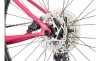 Scalpel HT Carbon 4 29 (Orchid XL)