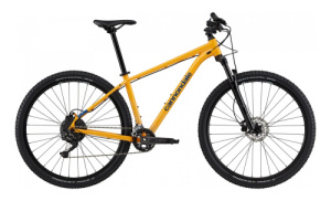 Trail 5 29 (Mango MD)