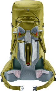 Aircontact Core 70+10 (Cactus-ivy)