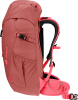Climber 22 (Redwood-hibiscus)