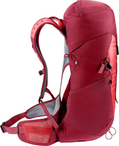 AC Lite 24 (Cherry-masala)