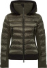 Rubie Splendid (Dark Olive 40)