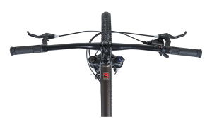 3BIKE 29 (Бронзовый Матовый 20)